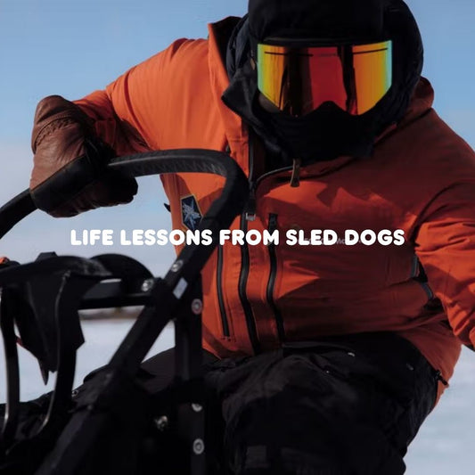 Life Lessons From Sled Dogs